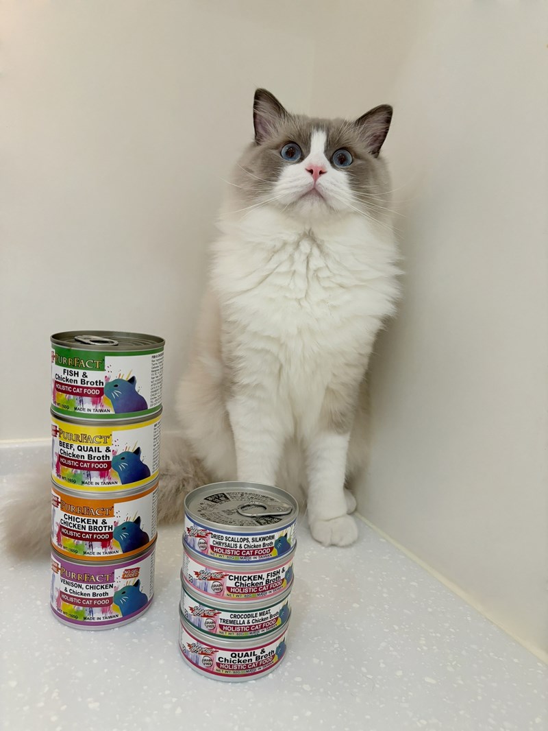 女人知己試用大隊,口碑行銷,部落客行銷,PURRFACT 波菲特貓用主食罐,主食罐,PURRFACT波菲特,貓主食罐,貓罐,PURRFACT波菲特貓用主食罐,魚肉蔓越莓主食罐,鮮嫩雞主食罐,鹿肉雞肉主食罐,牛肉鵪鶉貓主食罐,干貝蠶蛹配方,鱷魚肉白木耳配方,雞肉魚肉配方,安心鶉配方,評價,體驗,適口性佳,心得,成貓適用,高齡貓適用,質地是慕絲狀